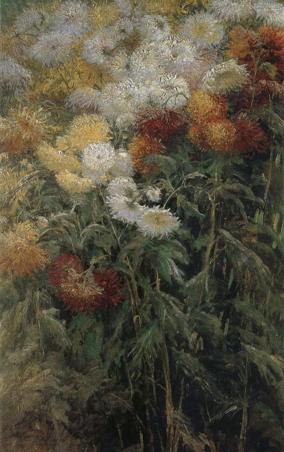 The chrysanthemum in the garden